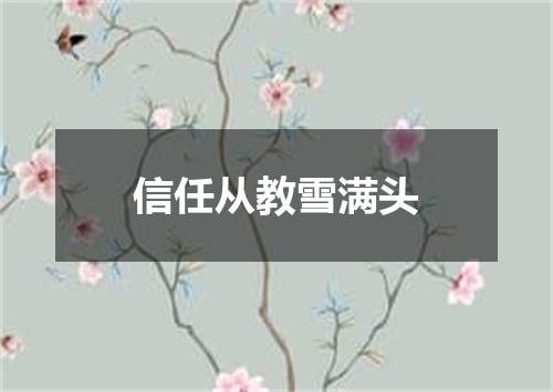 信任从教雪满头