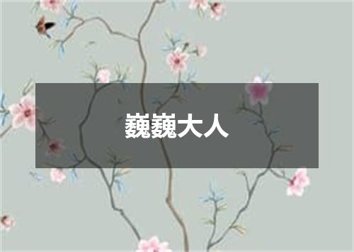 巍巍大人