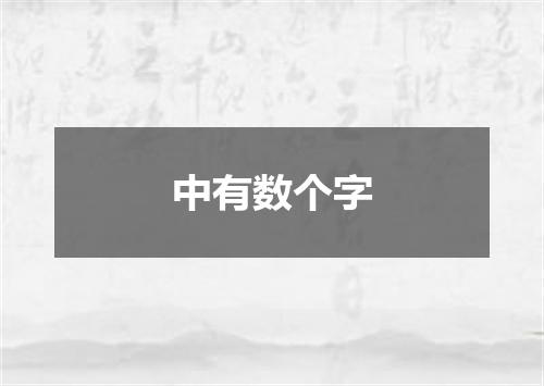 中有数个字
