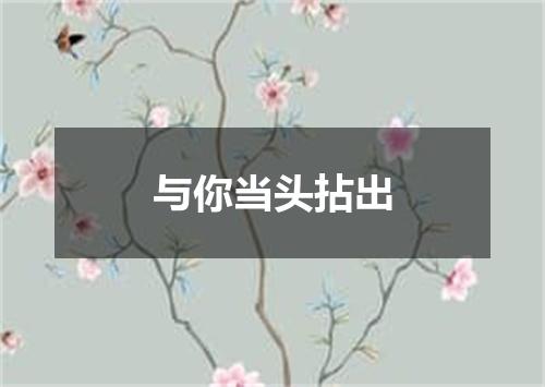 与你当头拈出