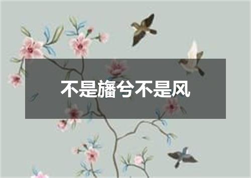 不是旛兮不是风