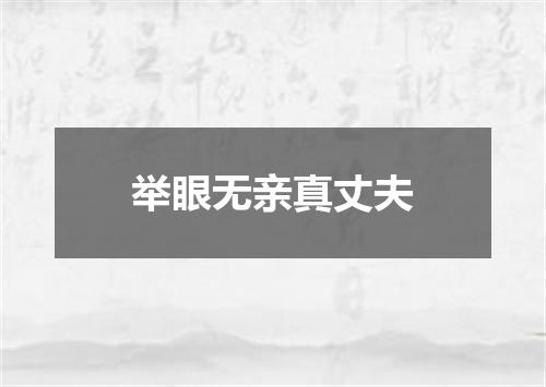 举眼无亲真丈夫