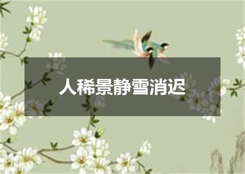 人稀景静雪消迟