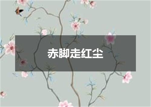 赤脚走红尘