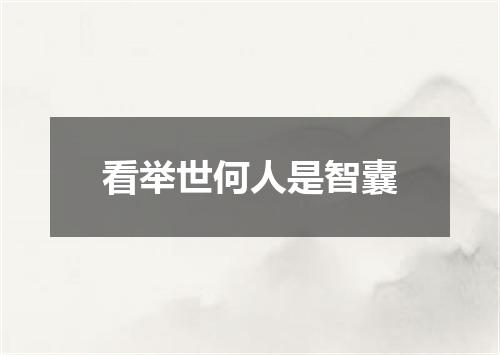 看举世何人是智囊