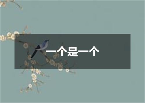 一个是一个