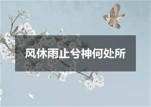 风休雨止兮神何处所