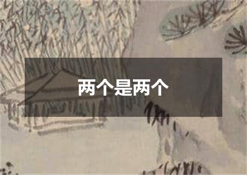 两个是两个