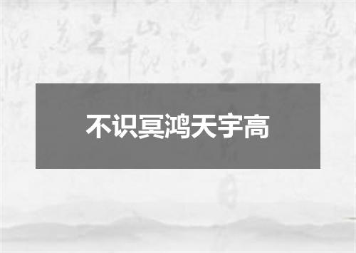 不识冥鸿天宇高