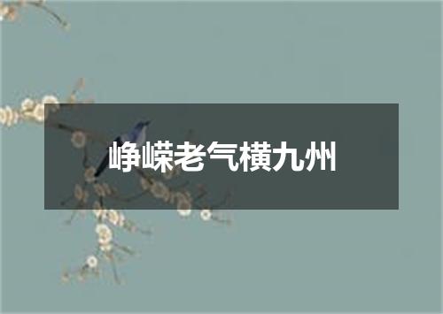峥嵘老气横九州