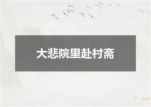 大悲院里赴村斋
