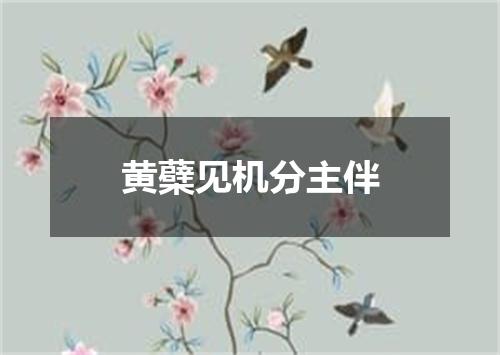 黄蘗见机分主伴