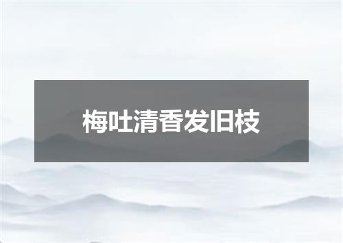 梅吐清香发旧枝
