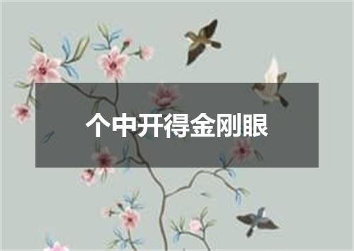 个中开得金刚眼