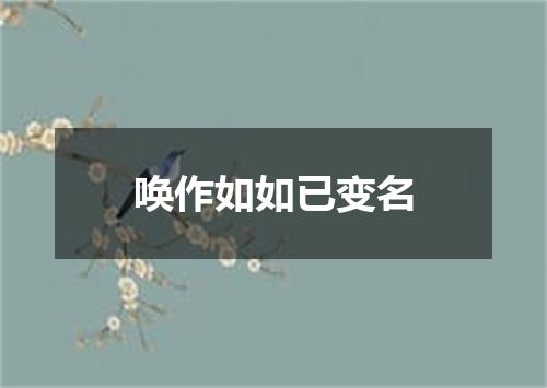 唤作如如已变名