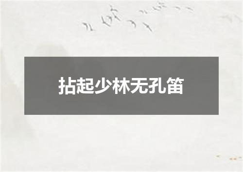 拈起少林无孔笛