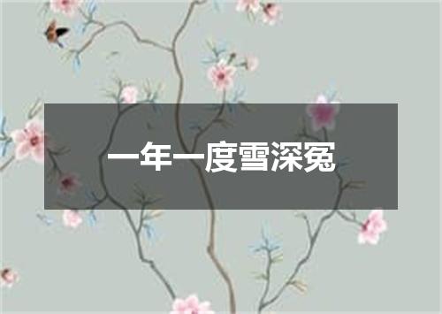 一年一度雪深冤