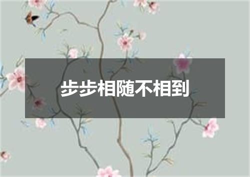 步步相随不相到