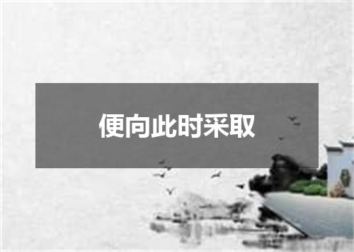 便向此时采取