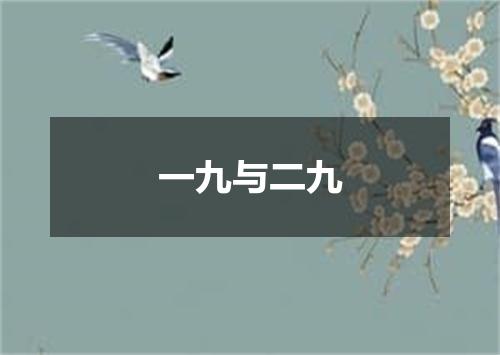 一九与二九