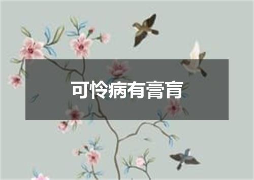 可怜病有膏肓