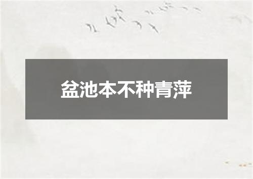 盆池本不种青萍