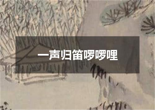一声归笛啰啰哩