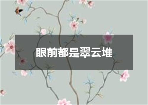 眼前都是翠云堆