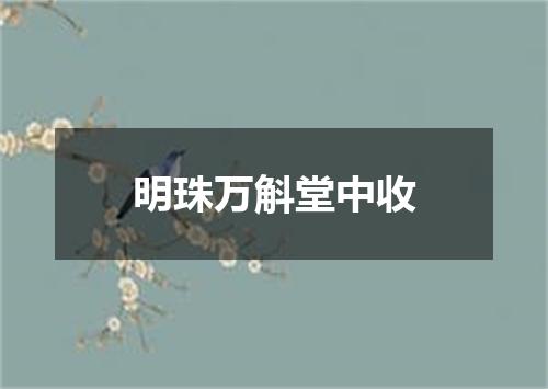 明珠万斛堂中收