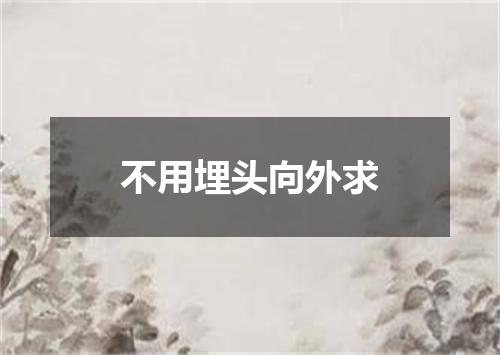 不用埋头向外求