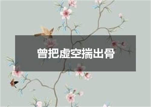 曾把虚空揣出骨