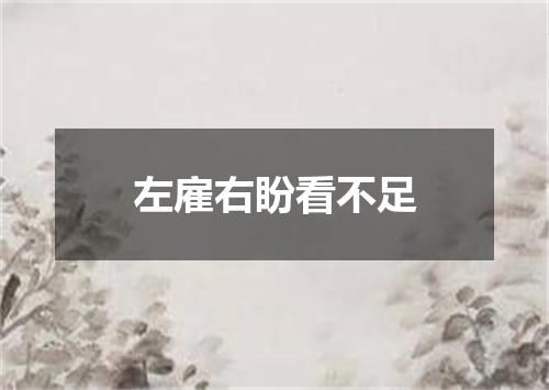 左雇右盼看不足