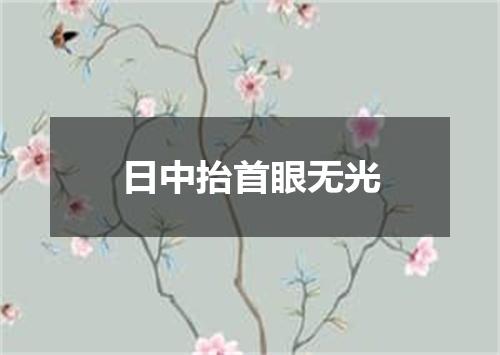 日中抬首眼无光