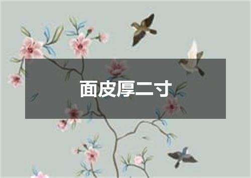 面皮厚二寸