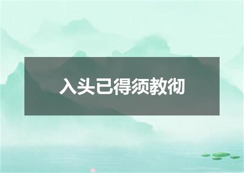 入头已得须教彻