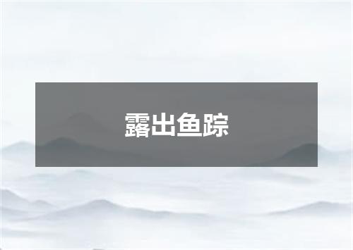 露出鱼踪