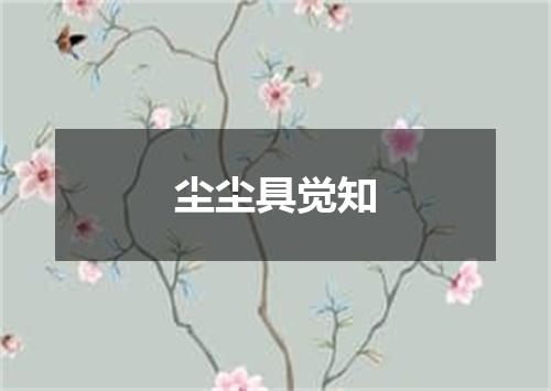尘尘具觉知