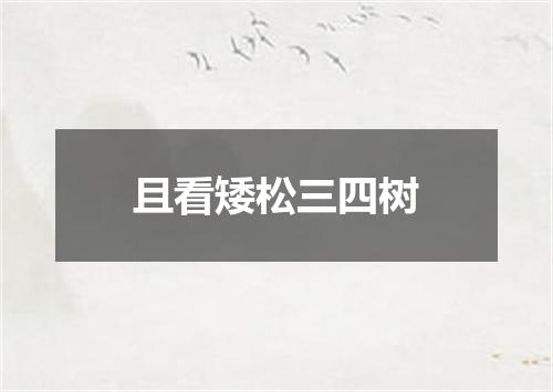 且看矮松三四树