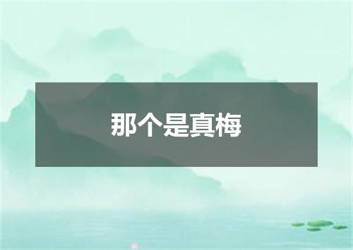 那个是真梅