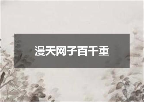漫天网子百千重