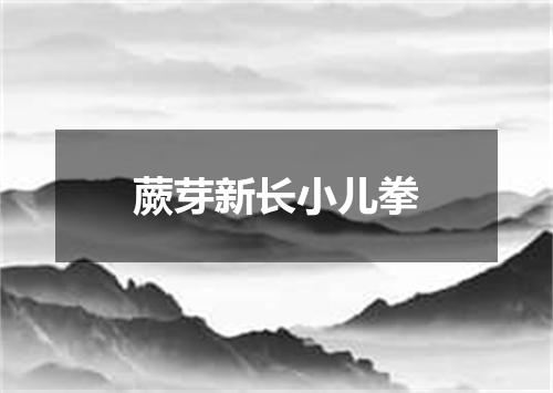 蕨芽新长小儿拳