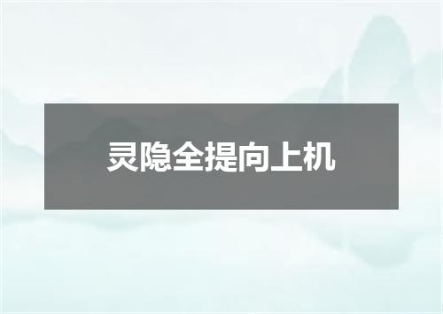 灵隐全提向上机