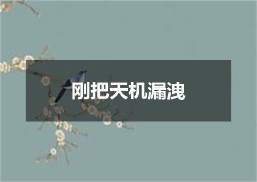 刚把天机漏洩