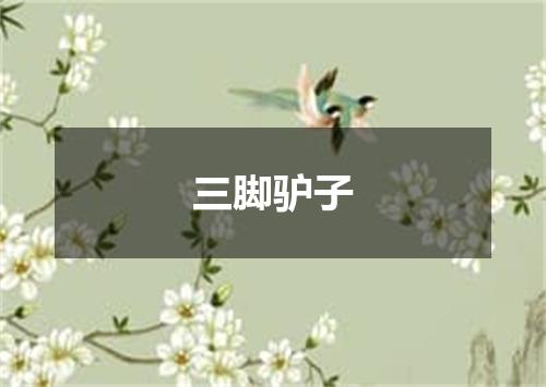 三脚驴子