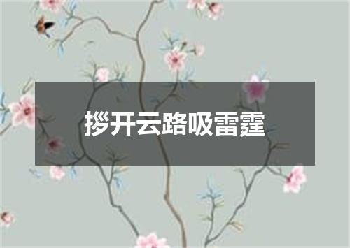 拶开云路吸雷霆