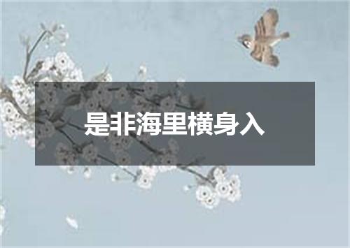 是非海里横身入