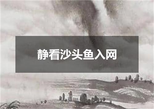 静看沙头鱼入网