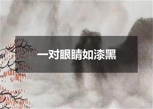 一对眼睛如漆黑