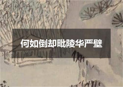 何如倒却毗陵华严壁