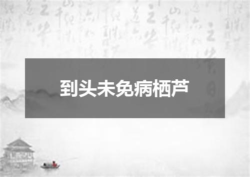 到头未免病栖芦